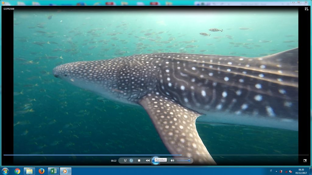 5a9ad49f-f272-47bd-a337-5f6253cb1c80