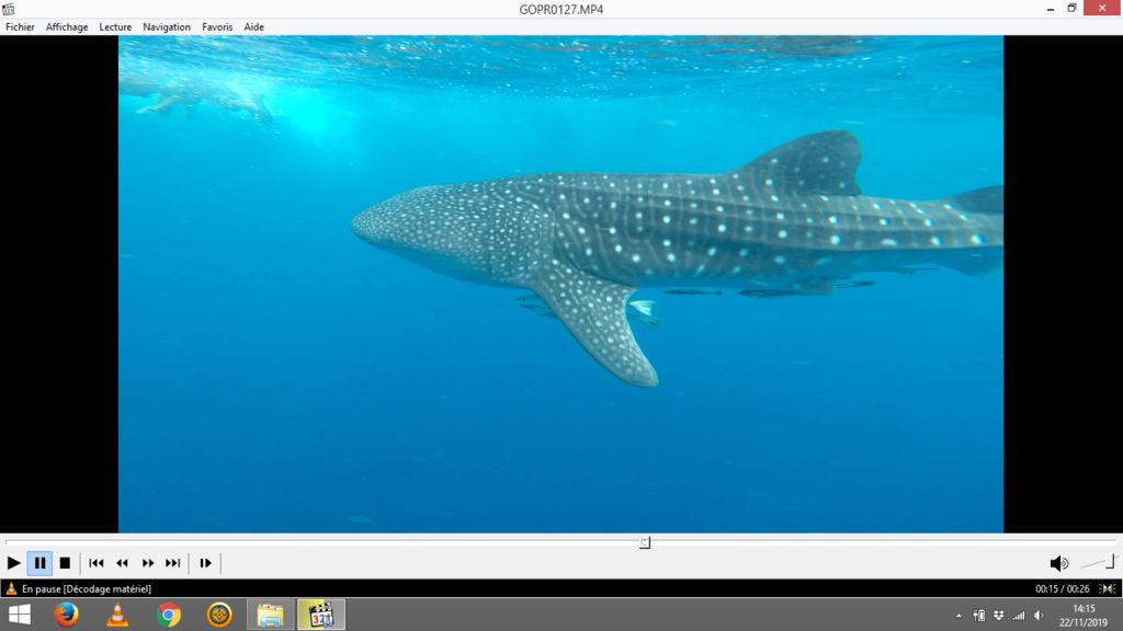 fadedf4b-8c3b-4284-bb8b-239621a43b3e