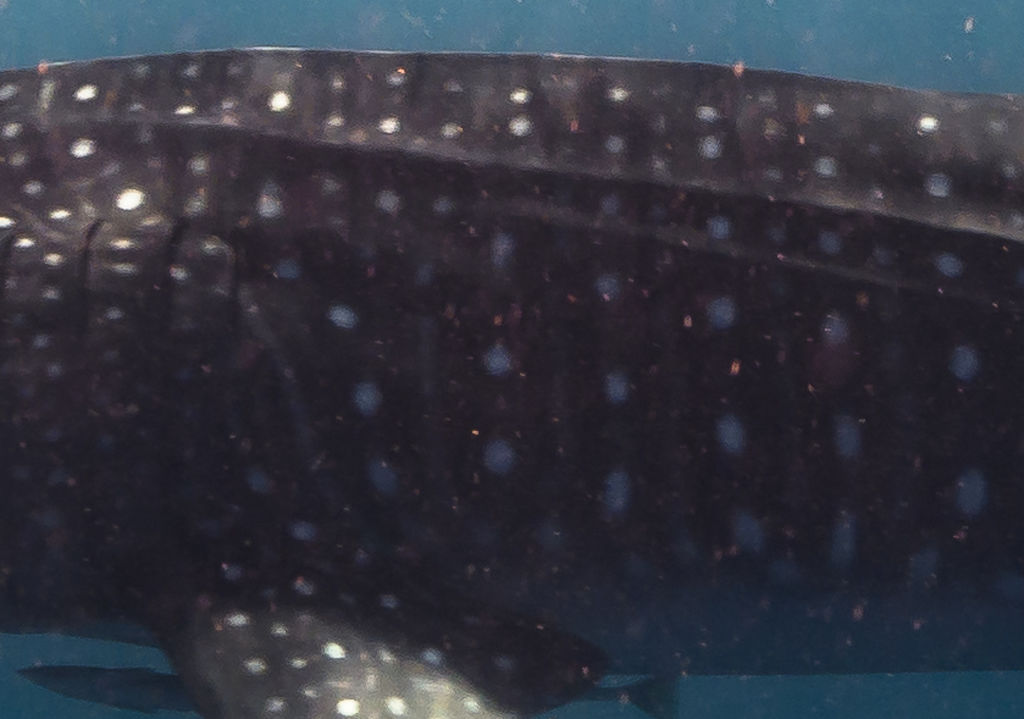 a01c8a5f-3d19-49c1-b0bd-ae5eb9205aeb