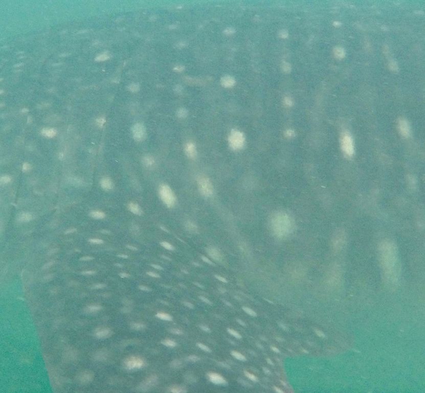 27d45831-dad6-42d6-8e2b-f9da42b7daf6