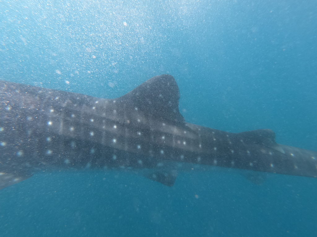 f021ac02-ac7b-4167-8e8c-40446f1c19a9