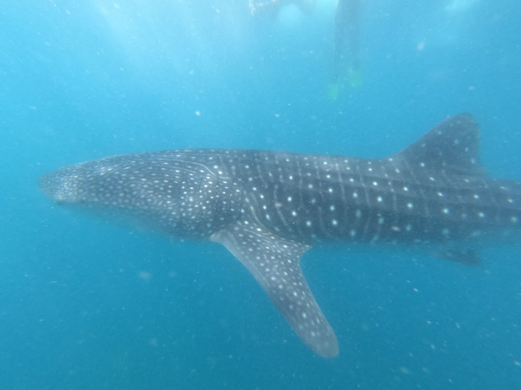 f021ac02-ac7b-4167-8e8c-40446f1c19a9