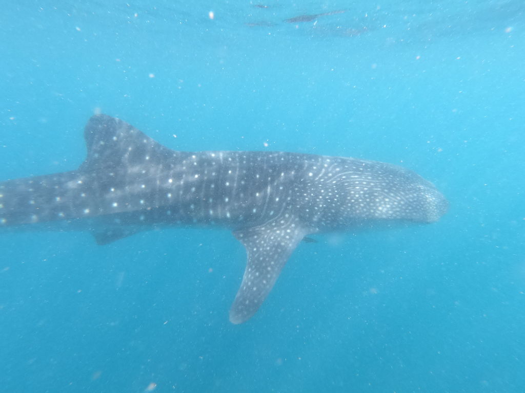 f021ac02-ac7b-4167-8e8c-40446f1c19a9