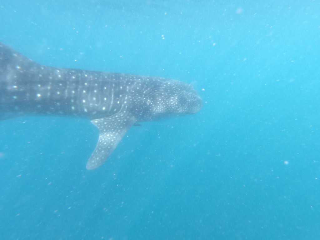 f021ac02-ac7b-4167-8e8c-40446f1c19a9