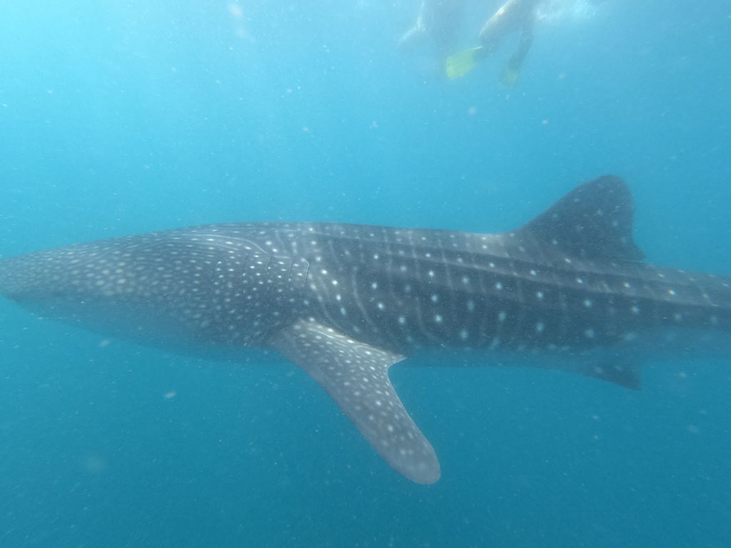 f021ac02-ac7b-4167-8e8c-40446f1c19a9