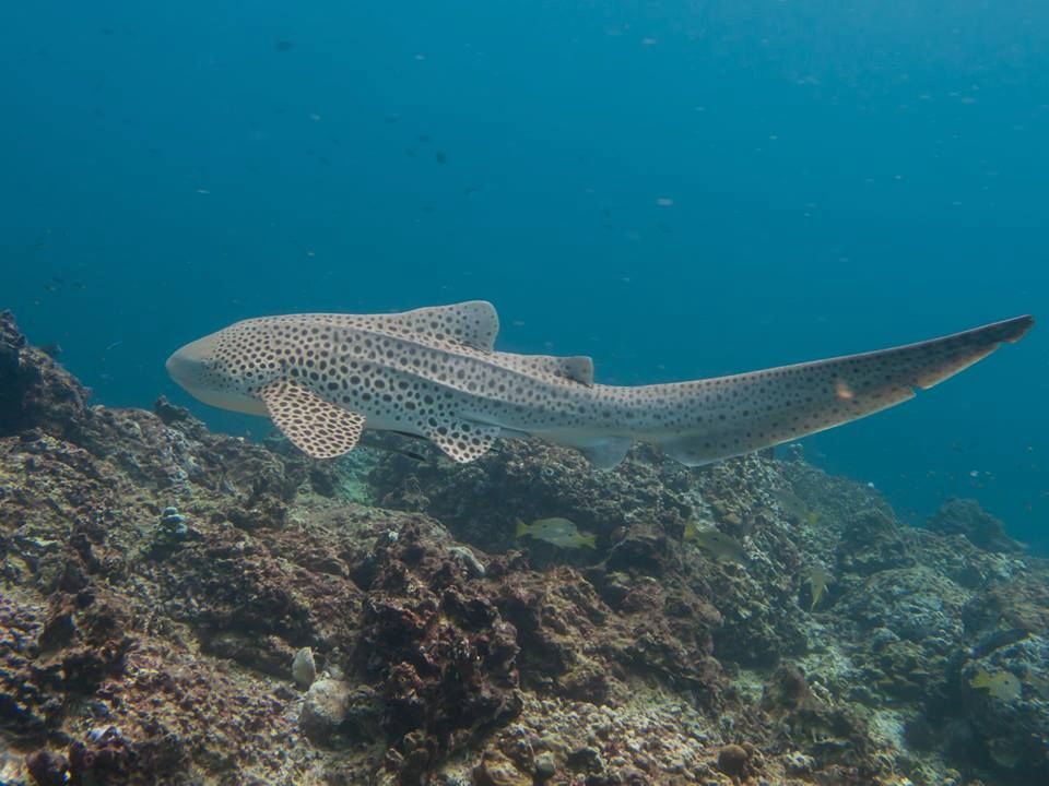 8e72e239-595c-4b85-bae7-e7a3ed5b8ba2