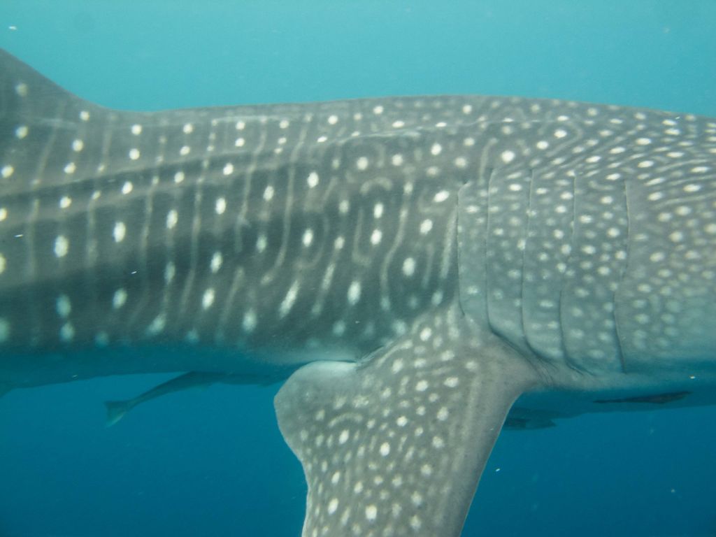 baa83b36-c5ee-4ed4-965b-c60433d29ef5