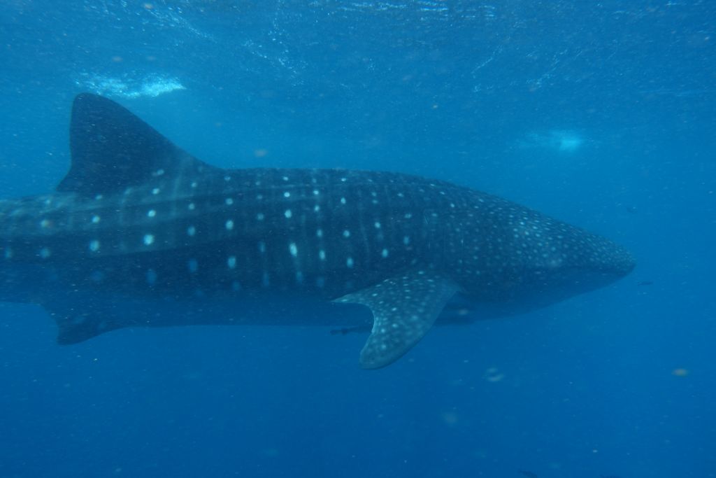 25db5ce0-6c5e-4140-9d17-95afaf256b42