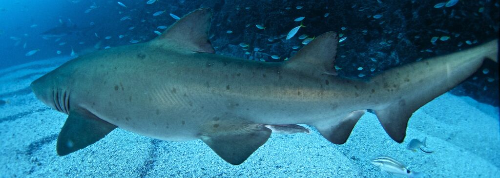 bf176003-3fef-4752-9b6c-fd0b3473abc2