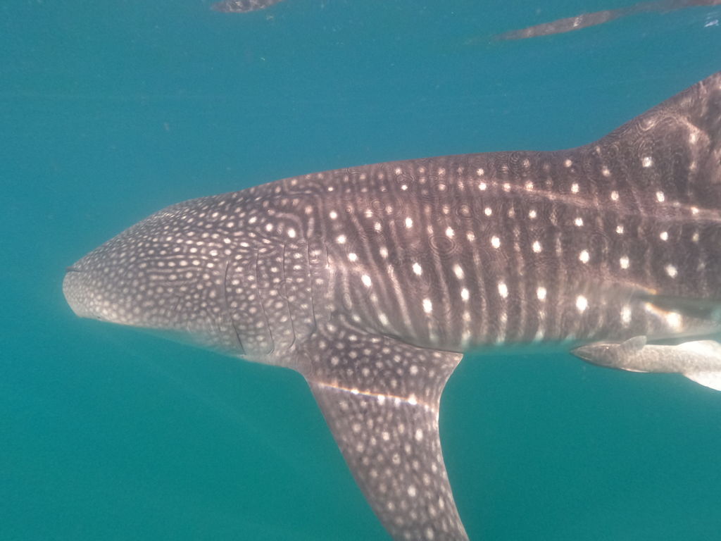 7986c0da-524d-49f9-88a1-5941db1bf740