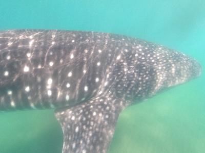 7986c0da-524d-49f9-88a1-5941db1bf740