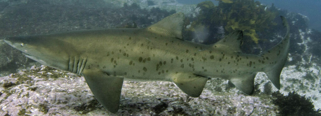 ef6bacb2-f54c-4970-8f7b-590f3e9e1b8c