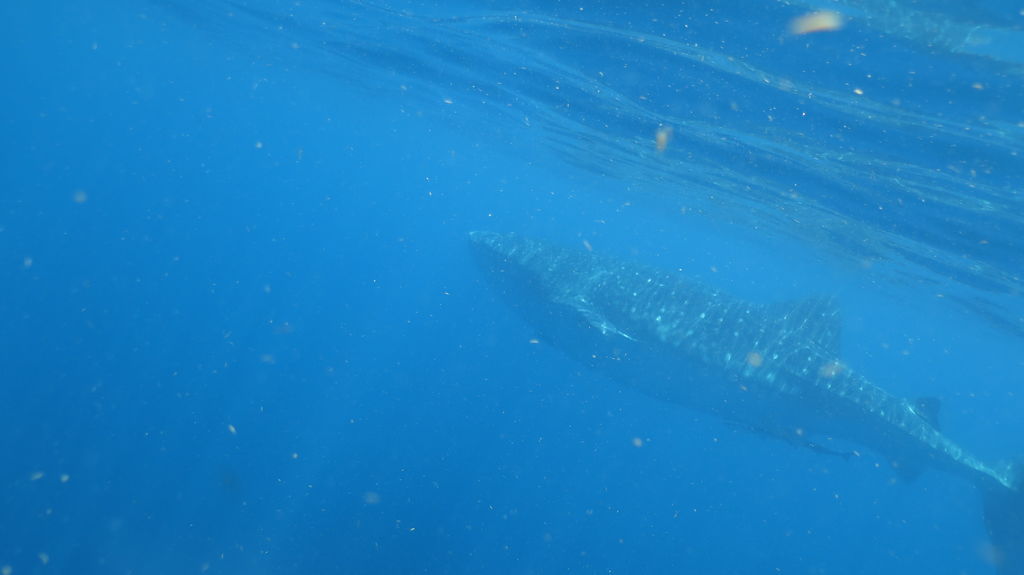 83f12851-5e22-45d5-a8fc-b6e3afc9686f