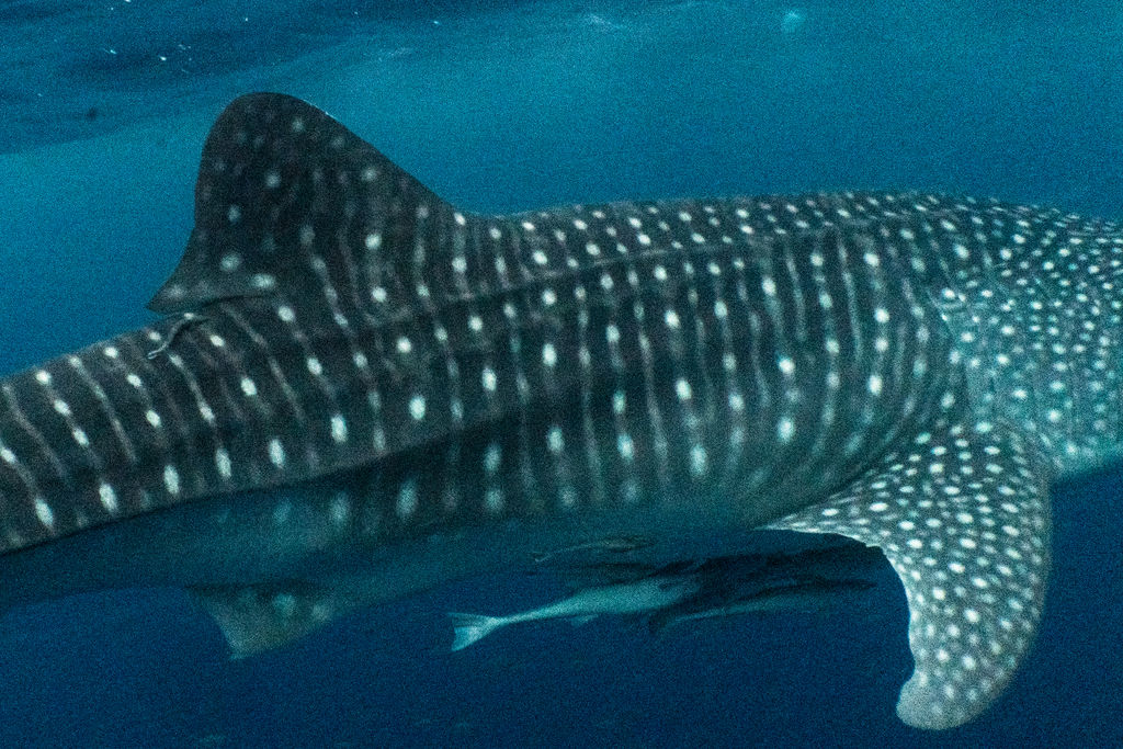 cdbfcbb4-d773-4afd-857a-121c8b0cfb87