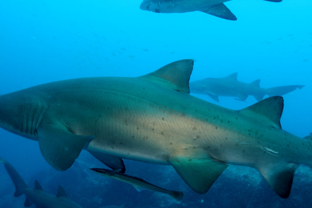 19b84d2b-bbff-4bd0-a1d4-abd5b17cffb7