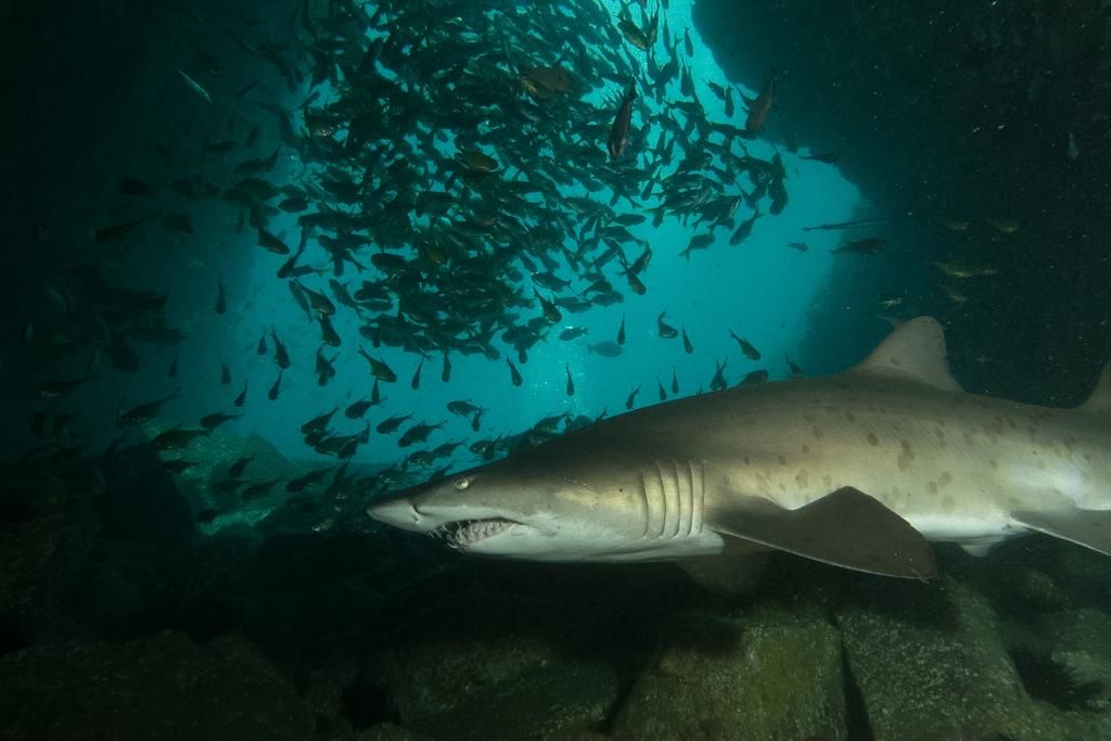 a9f6bc90-33c7-44bc-9005-c92f279dce67