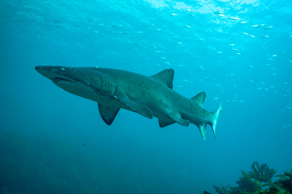 02e52749-6011-4561-b3a4-cb8f7545b1c6