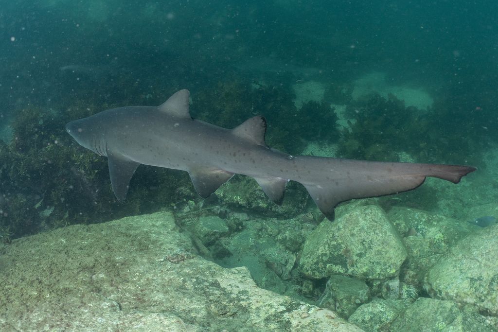 19a7750c-7bfc-4068-b662-1e428cfacfc0