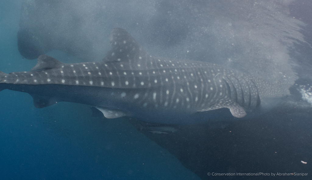 9ff36c08-b861-4f92-9bc7-e34091321ba5