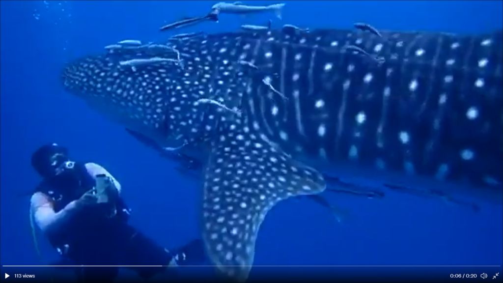 86d31b2a-2e39-40f9-ab6f-100d1a143afe