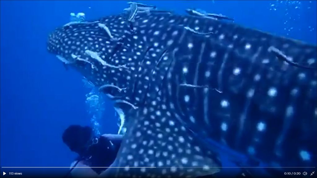 86d31b2a-2e39-40f9-ab6f-100d1a143afe