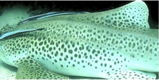 437a3d98-91d3-4877-a93e-d18bee8b4d38