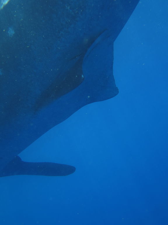 1d1dc7f4-294d-4e96-abe9-c73fb23c3ec3