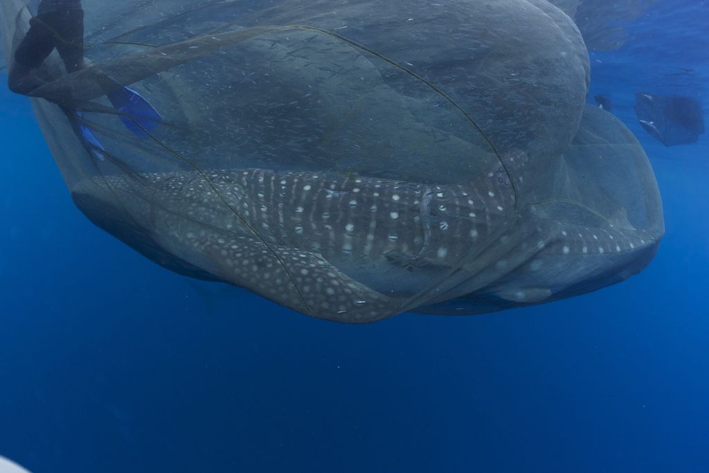 99d18be4-6a3c-4cf3-b7c9-be9d9000a795