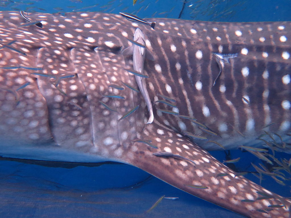 99d18be4-6a3c-4cf3-b7c9-be9d9000a795