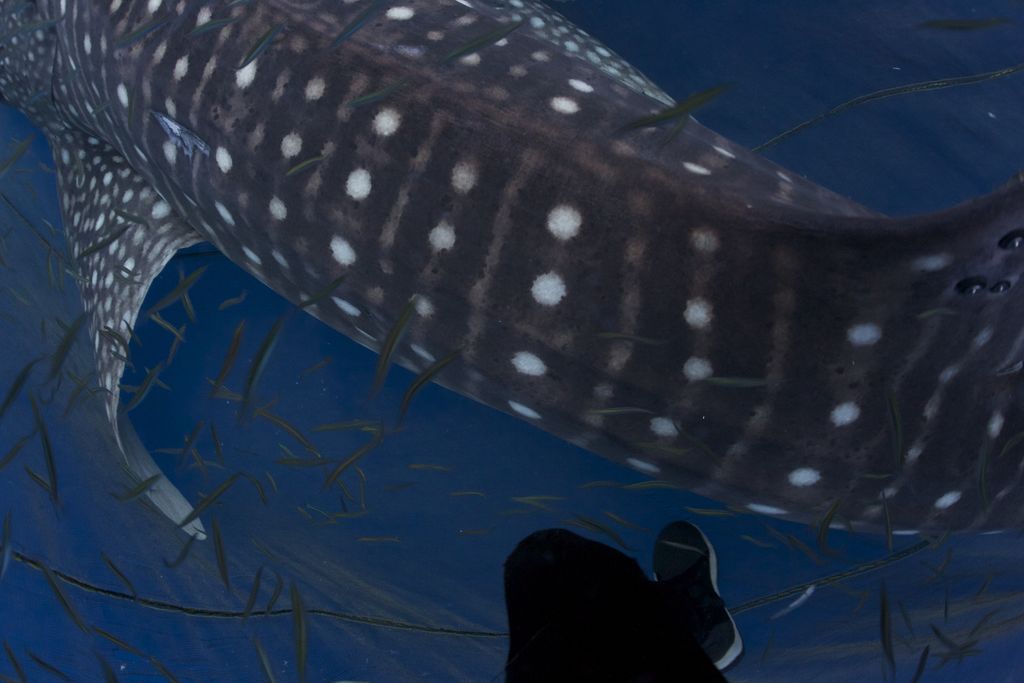 99d18be4-6a3c-4cf3-b7c9-be9d9000a795