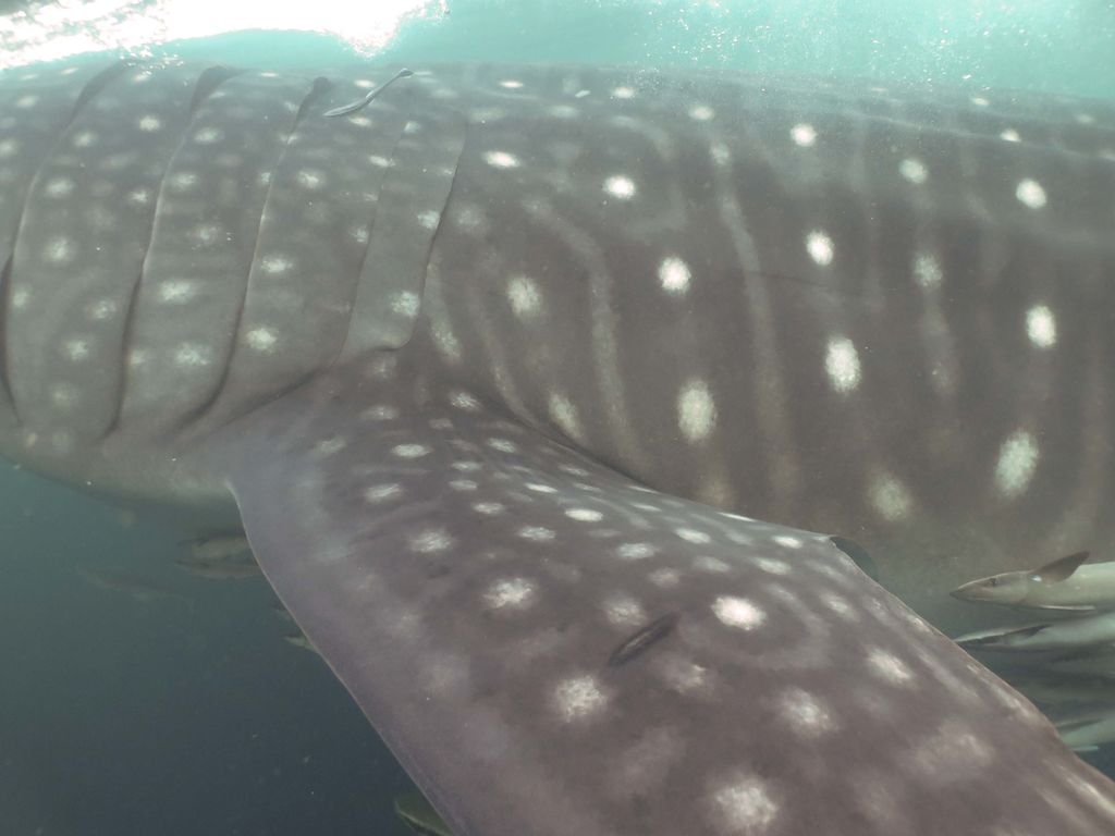 0a900d25-5cef-4d65-9ec9-3d8fce29bd4d