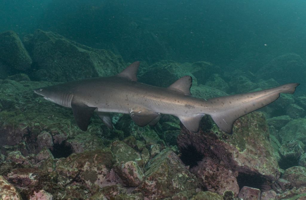 7bd883a2-c213-4933-8a80-68f266fa3e6e