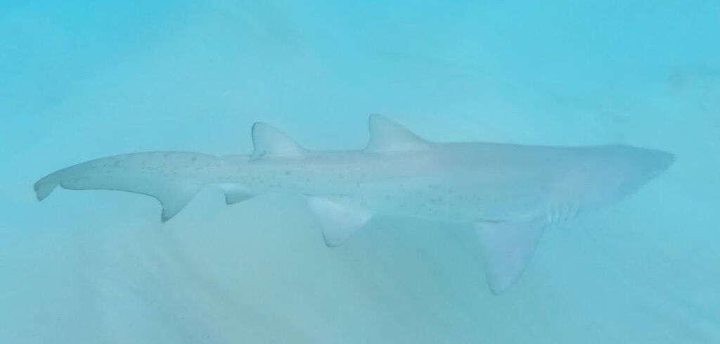 4b80d5c9-8c32-4aae-a0a9-fbc3b292891e