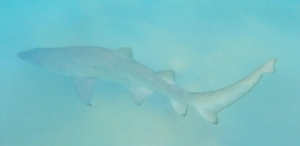 4b80d5c9-8c32-4aae-a0a9-fbc3b292891e