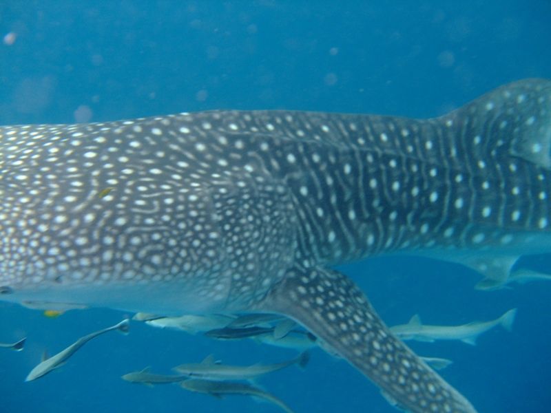 3db75059-2702-4516-9264-f766d22b8a6f