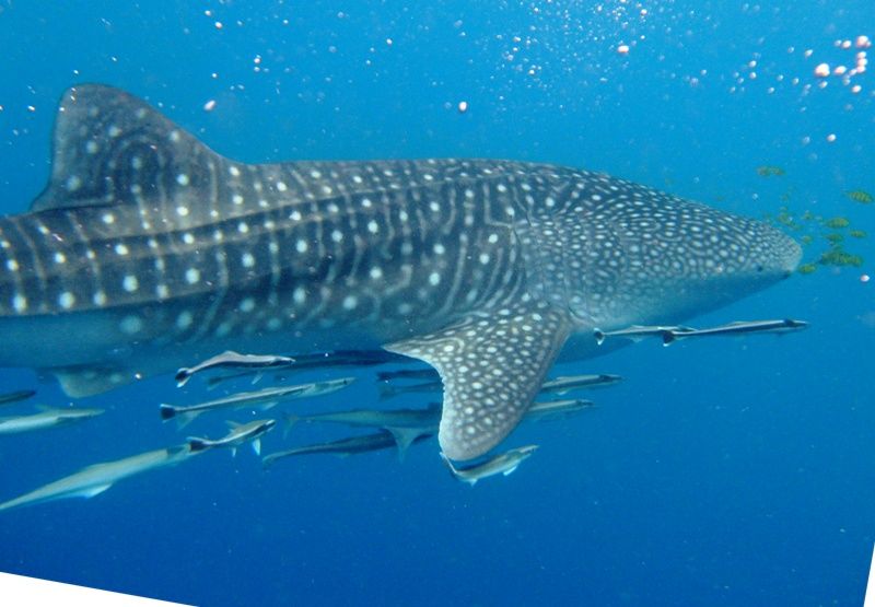 3db75059-2702-4516-9264-f766d22b8a6f