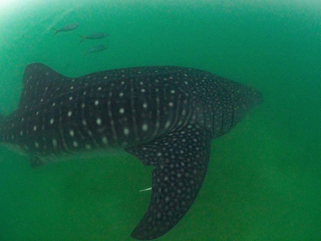 441f748b-e189-4840-b0b8-de5452b745e9