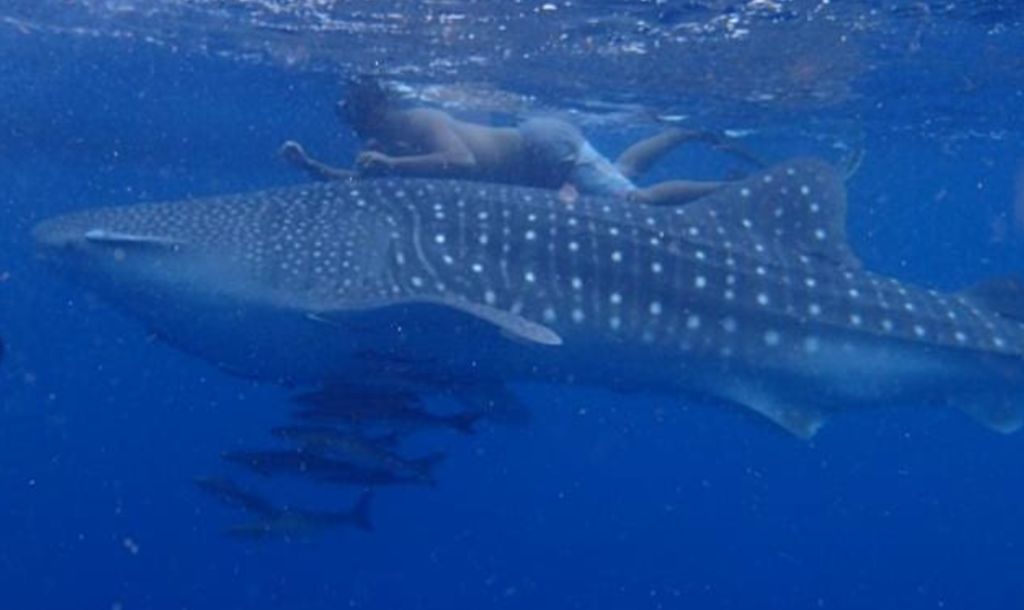 d73e3d41-456c-4bc1-a103-8c0381cf889e