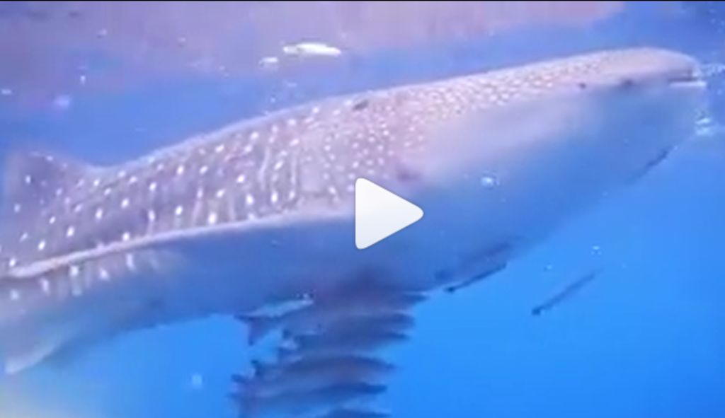 d73e3d41-456c-4bc1-a103-8c0381cf889e