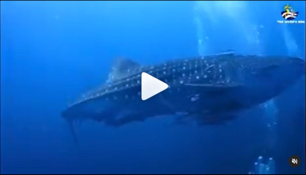 ec666c53-7679-4fb9-8e06-a8089b26caf9