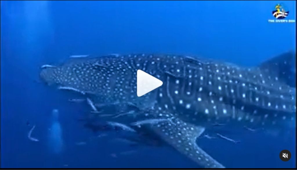 ec666c53-7679-4fb9-8e06-a8089b26caf9