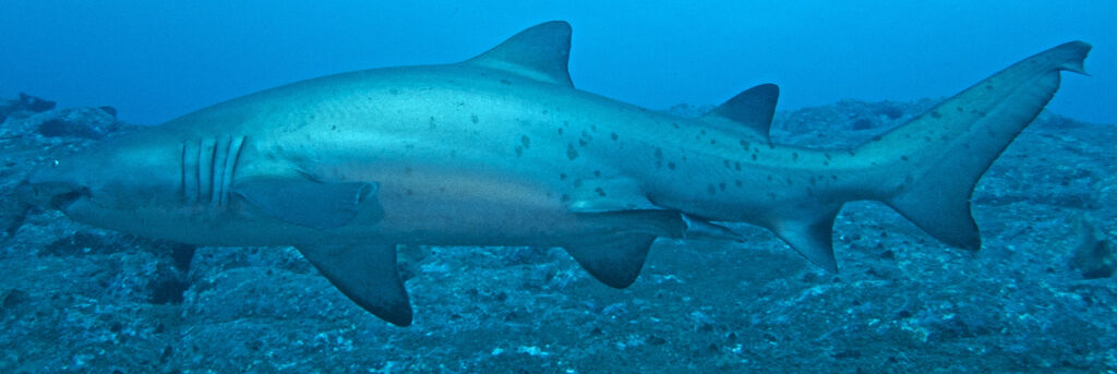 f859cab5-bc53-456a-8758-06ca4db0d885