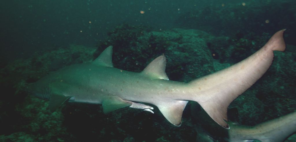 3b9a911a-0229-494e-b988-4591bf5c4bb6