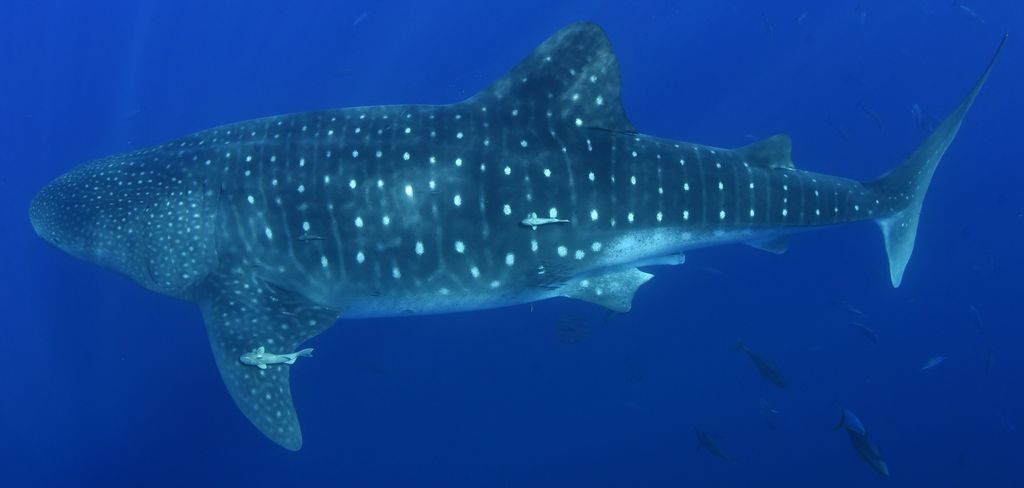 e353bbda-8896-4d4d-93ce-13ff85a590f3