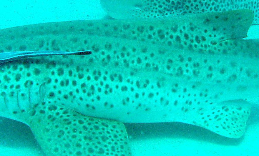 634e810f-d55b-49f4-bf8e-745b092b7b6d