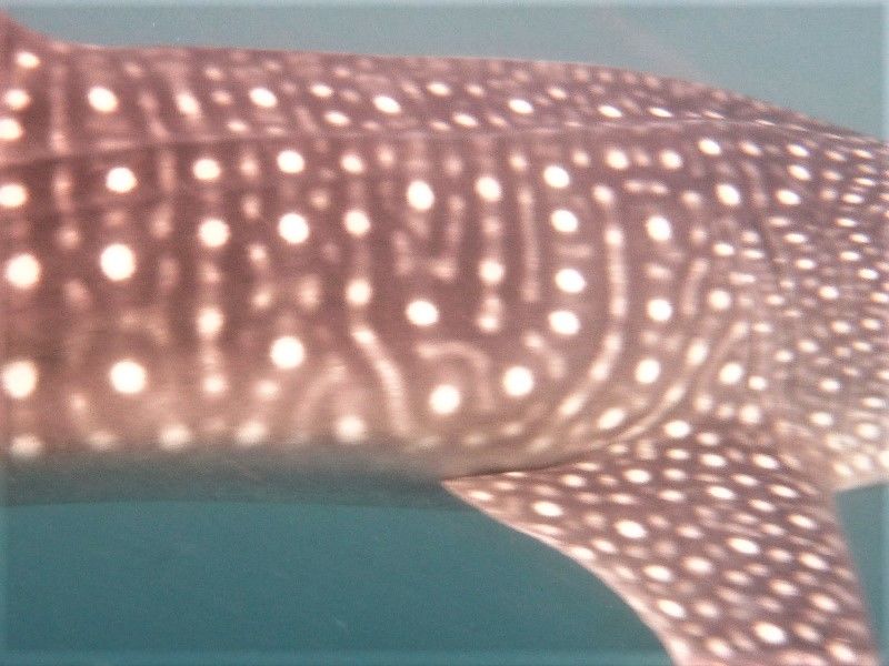 78fd82ac-9323-475e-bd8c-2ff3b8357dcc