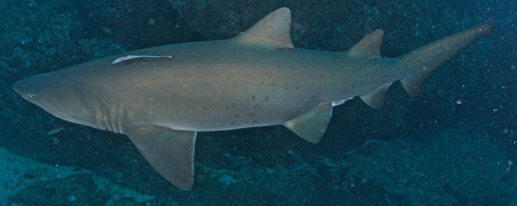 bd455e6d-6ae6-448e-93a4-2bd1b629b438