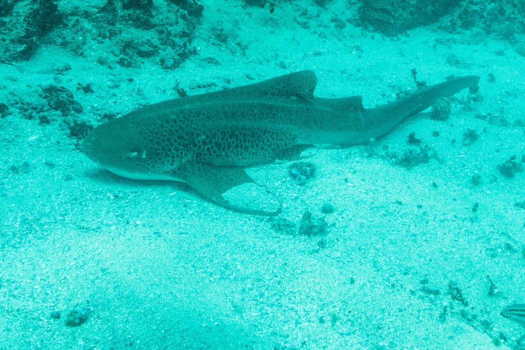 90dfdeab-cdf9-488c-8e68-11d922b33e07