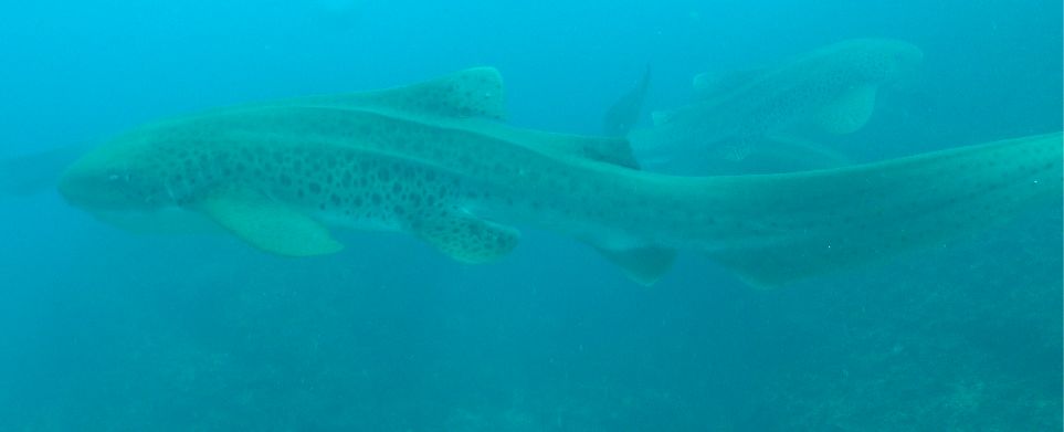 411dba64-e6ef-40b2-abfd-98569705f102