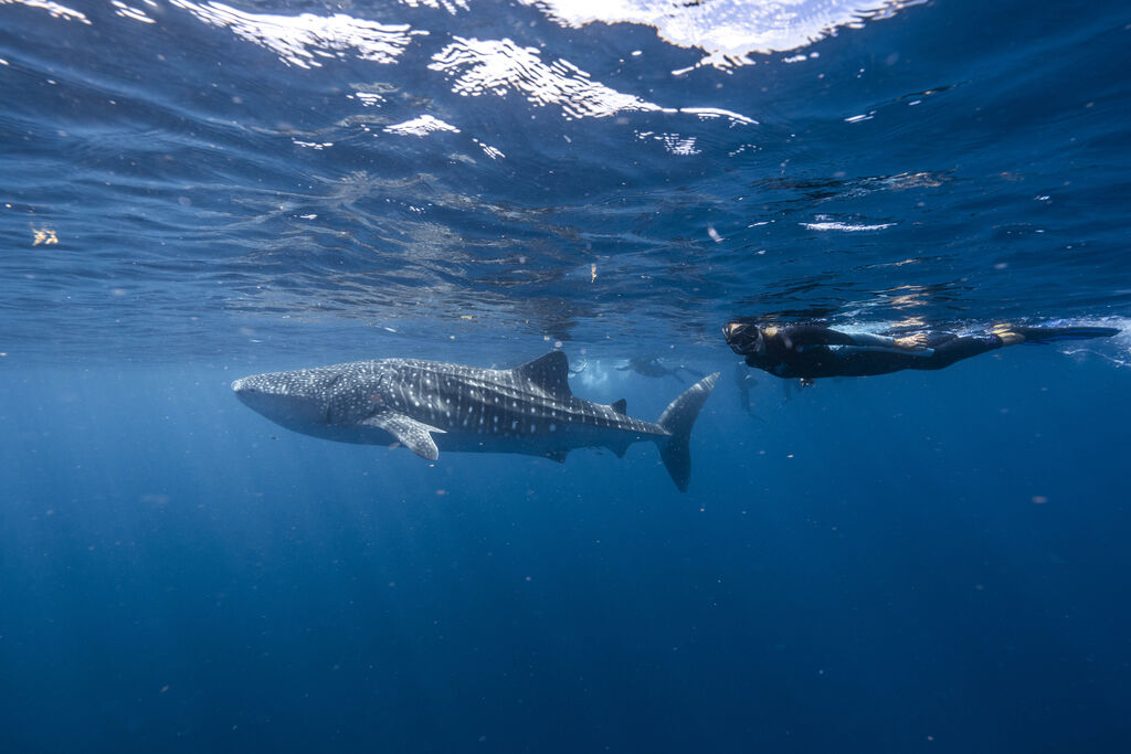 dcc988a3-8786-4d3f-8ca6-ed1a2e202a2c